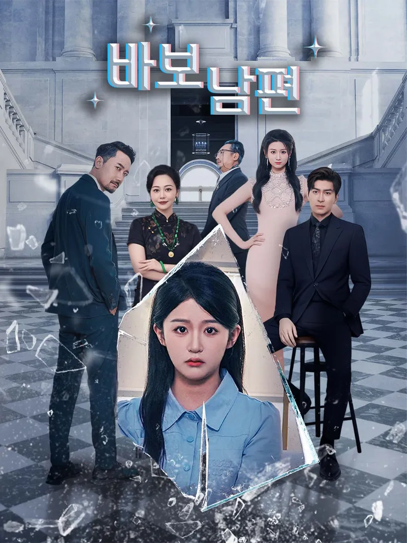 바보 남편 표지