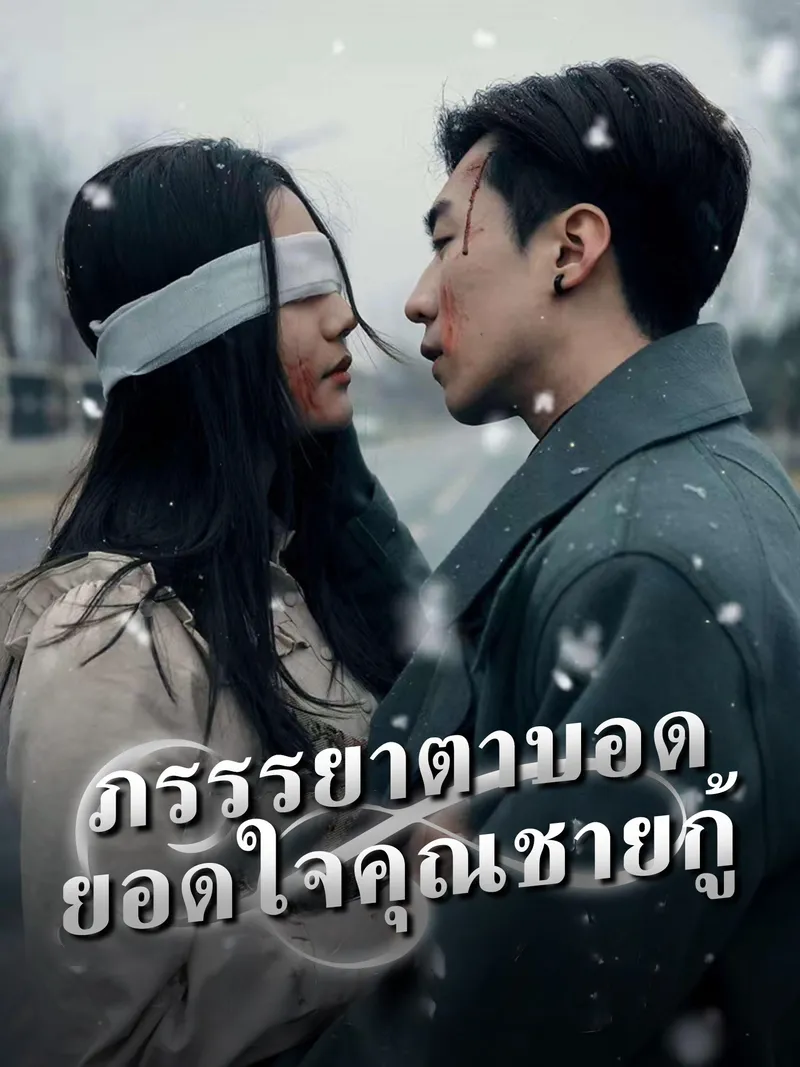หน้าปกภรรรยาตาบอด ยอดใจคุณชายกู้