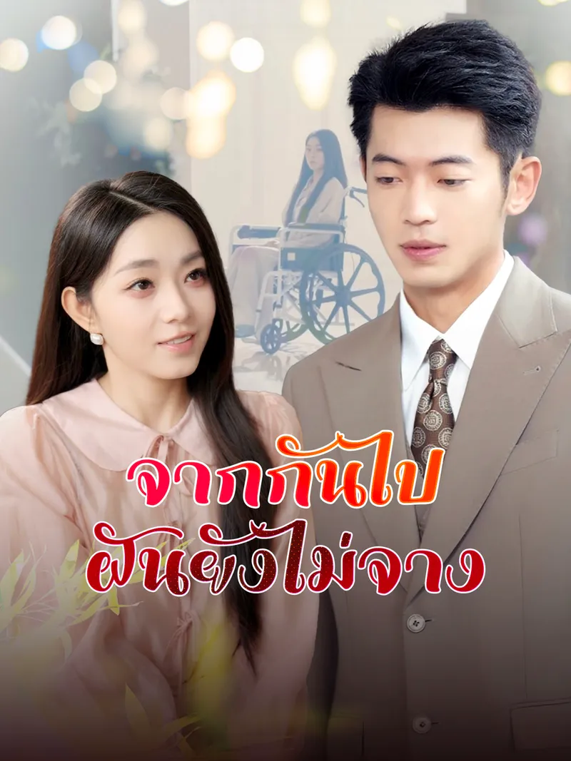หน้าปกจากกันไป ฝันยังไม่จาง