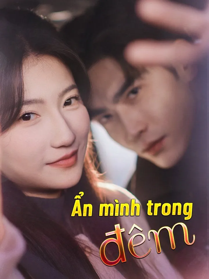 Ảnh bìa Ẩn mình trong đêm