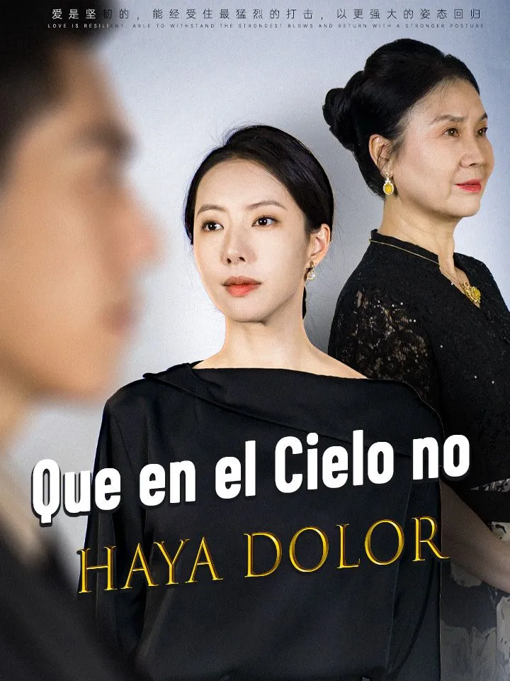 Portada de Que en el Cielo no haya Dolor