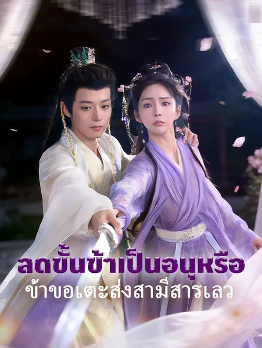 หน้าปกลดขั้นข้าเป็นอนุหรือ ข้าขอเตะส่งสามีสารเลว