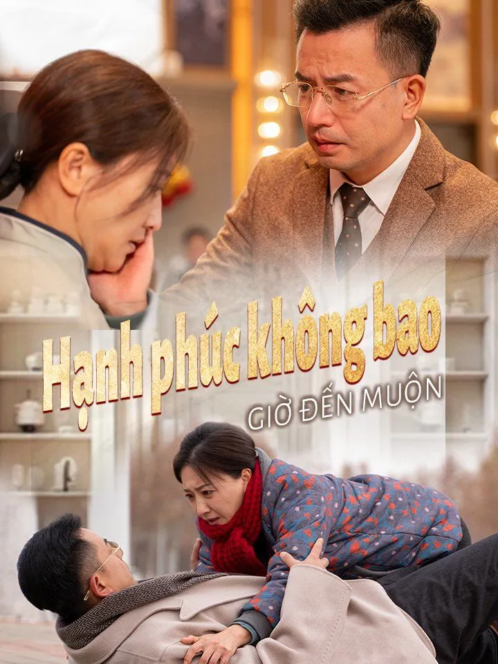 Ảnh bìa Hạnh phúc không bao giờ đến muộn