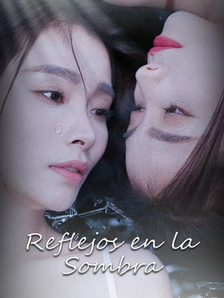 Portada de Reflejos en la Sombra