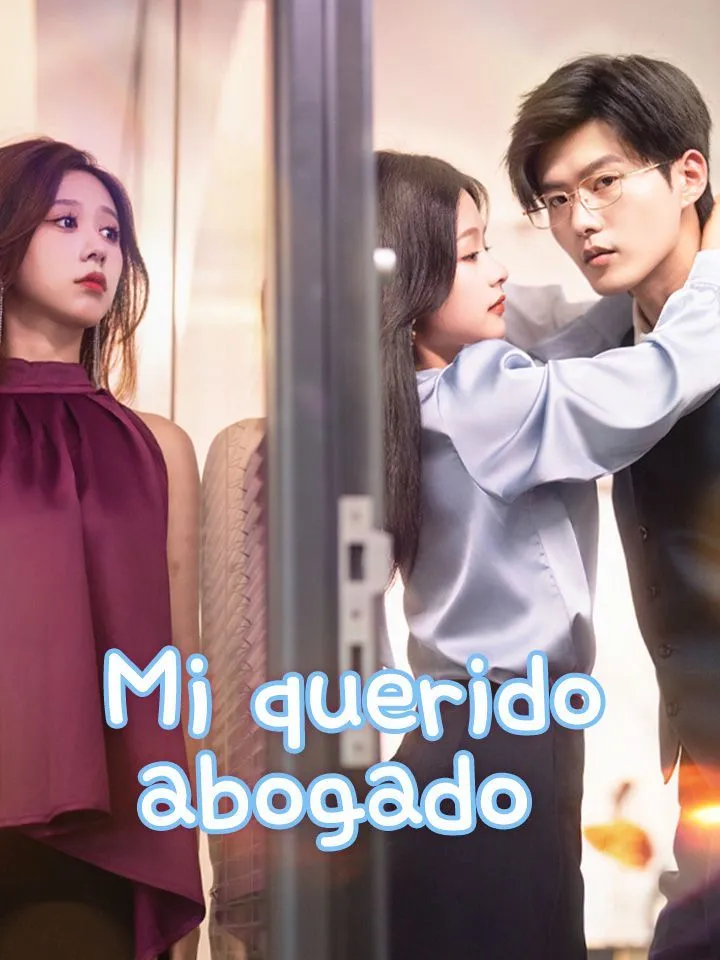 Portada de Mi querido abogado