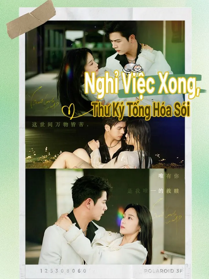 Ảnh bìa Nghỉ Việc Xong, Thư Ký Tống Hóa Sói