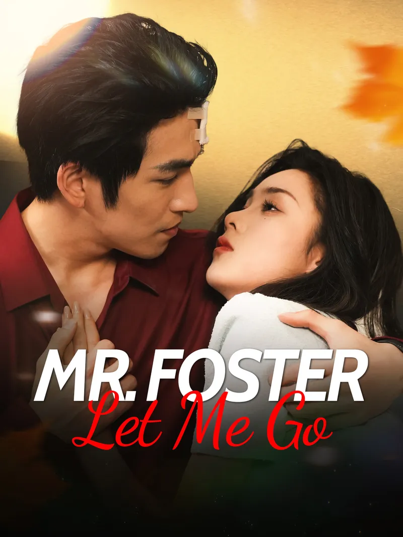 Mr. Foster, Let Me Go cover