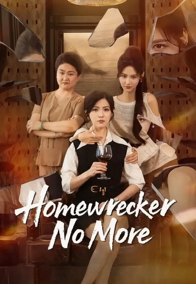 Homewrecker No More cover