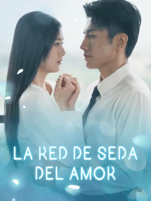 Portada de La red de seda del amor