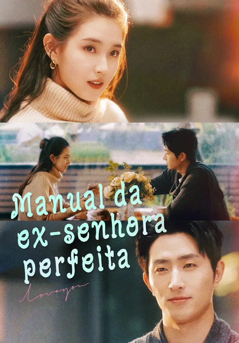 Capa de Manual da ex-senhora perfeita