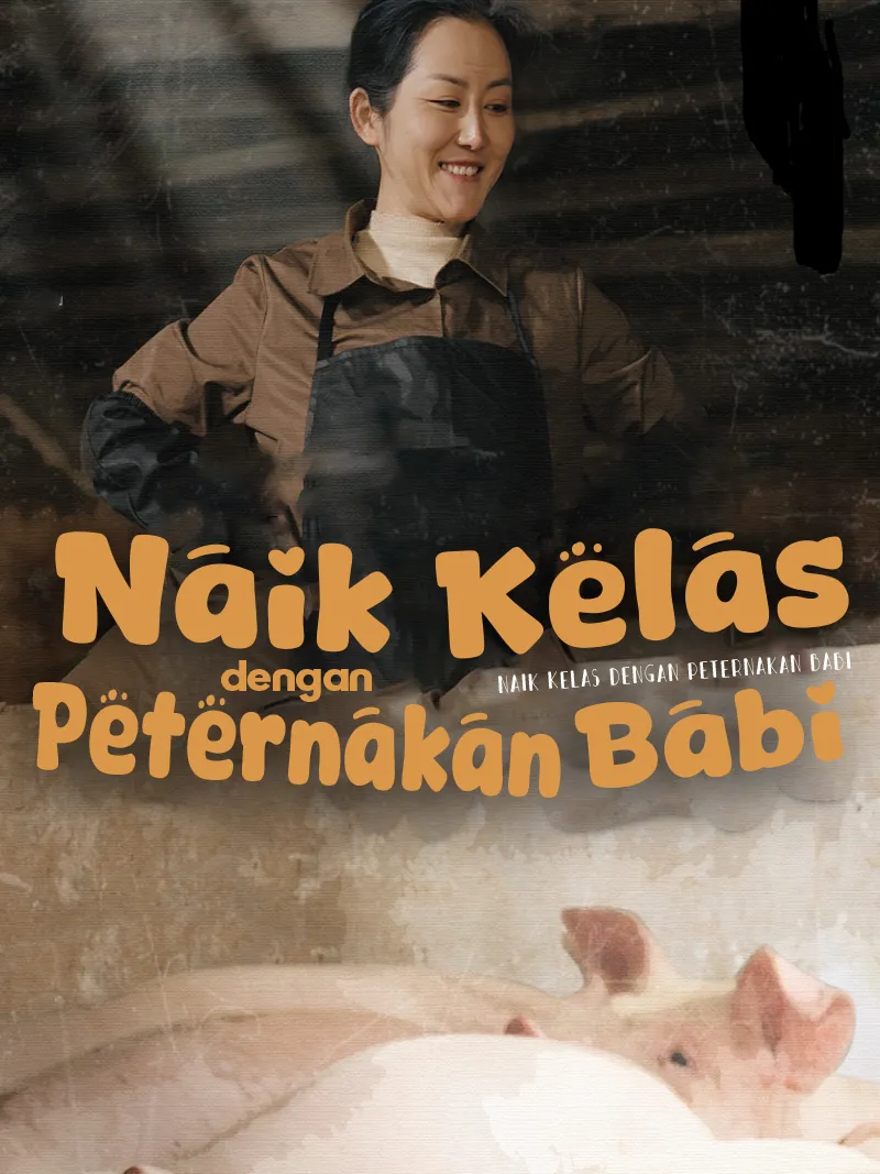 Sampul Naik Kelas dengan Peternakan Babi
