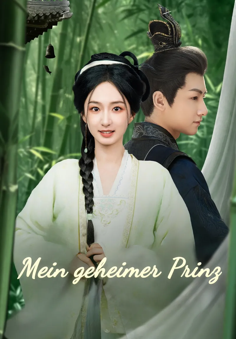 Cover von Mein geheimer Prinz