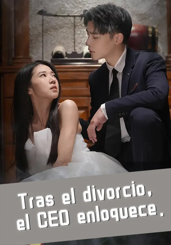 Portada de Tras el divorcio, el CEO enloquece.