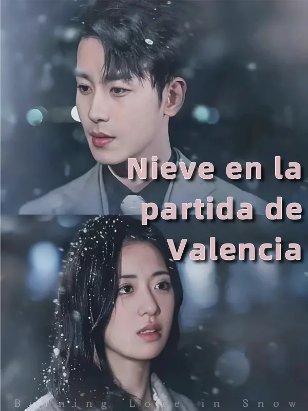Portada de Nieve en la partida de Valencia
