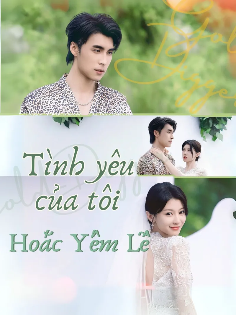 Ảnh bìa Tình yêu của tôi - Hoắc Yếm Lễ
