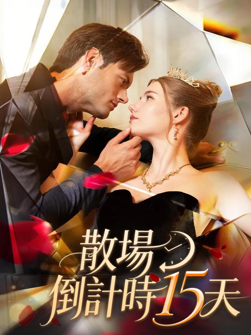 《散场倒计时十五天》封面