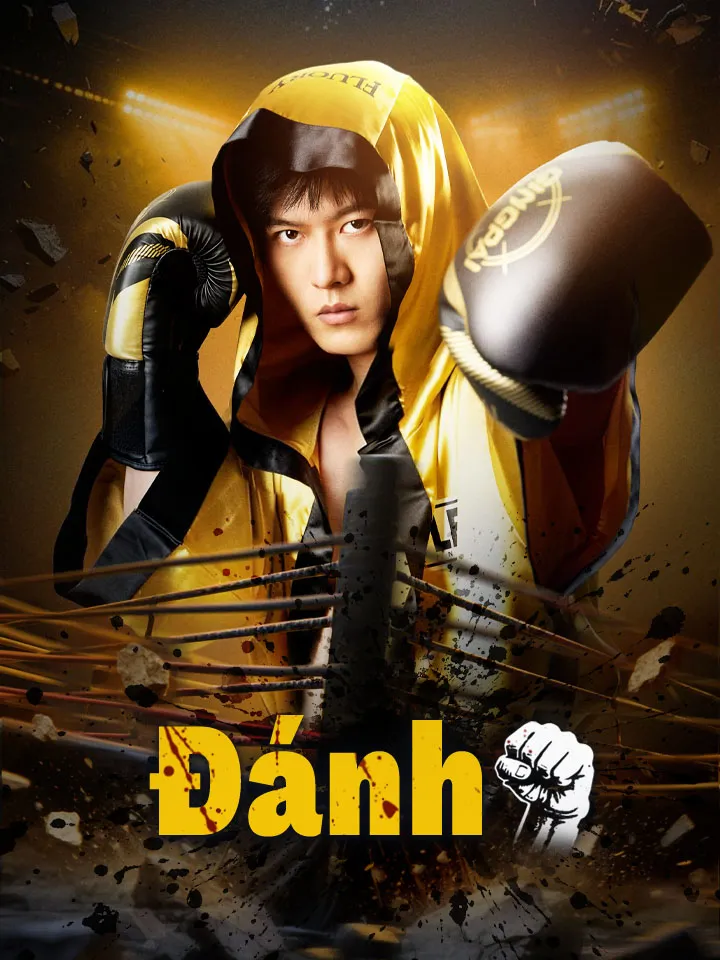 Ảnh bìa Đánh