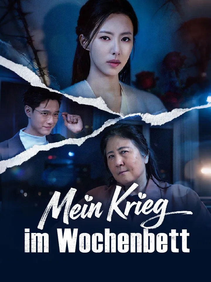 Cover von Mein Krieg im Wochenbett