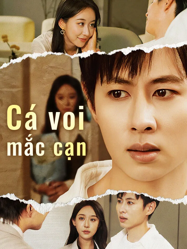 Ảnh bìa Cá voi mắc cạn