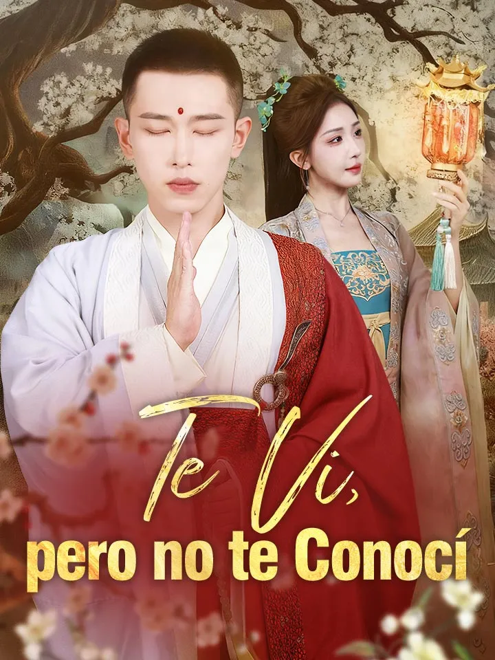 Portada de Te Vi, pero no te Conocí