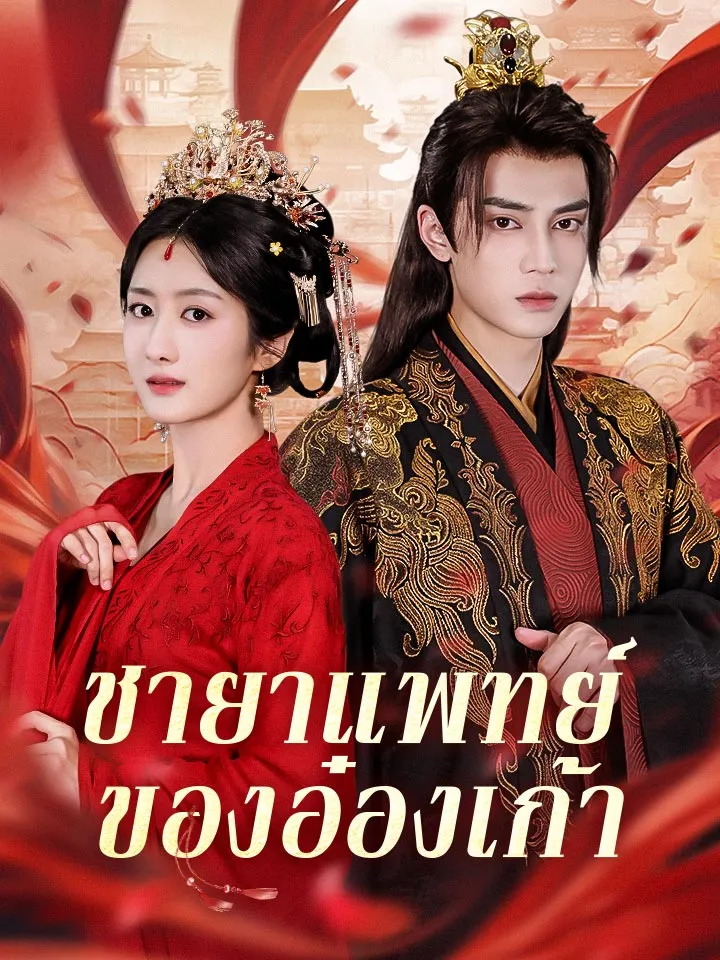 หน้าปกชายาแพทย์ของอ๋องเก้า