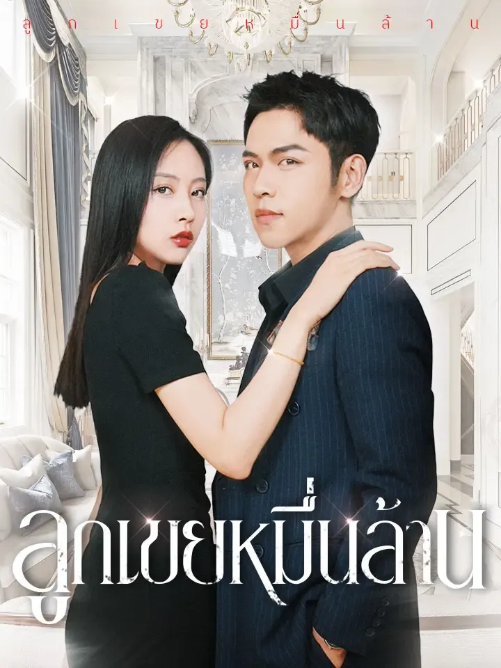 หน้าปกลูกเขยหมื่นล้าน