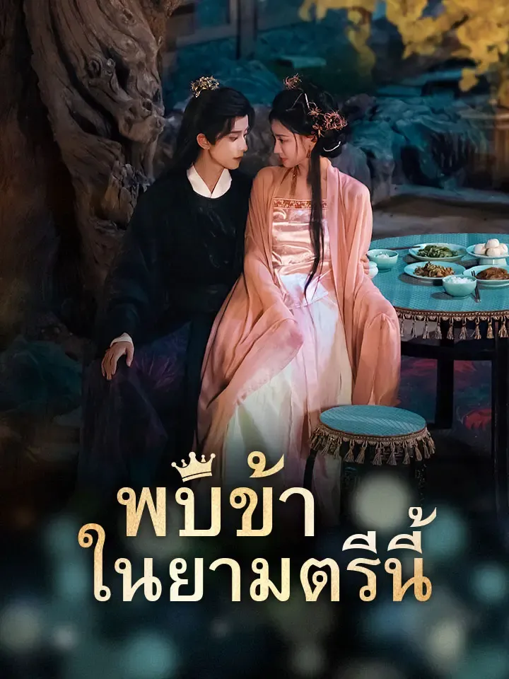 หน้าปกพบข้าในยามตรีนี้