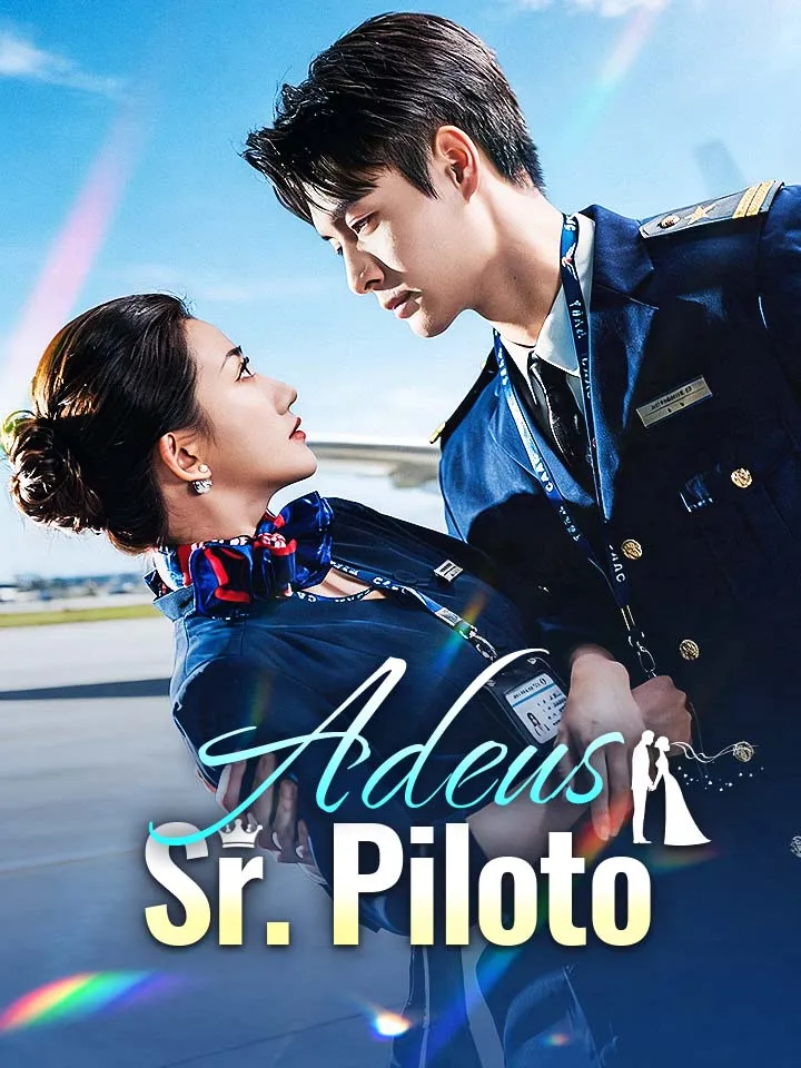 Capa de Adeus, Sr. Piloto