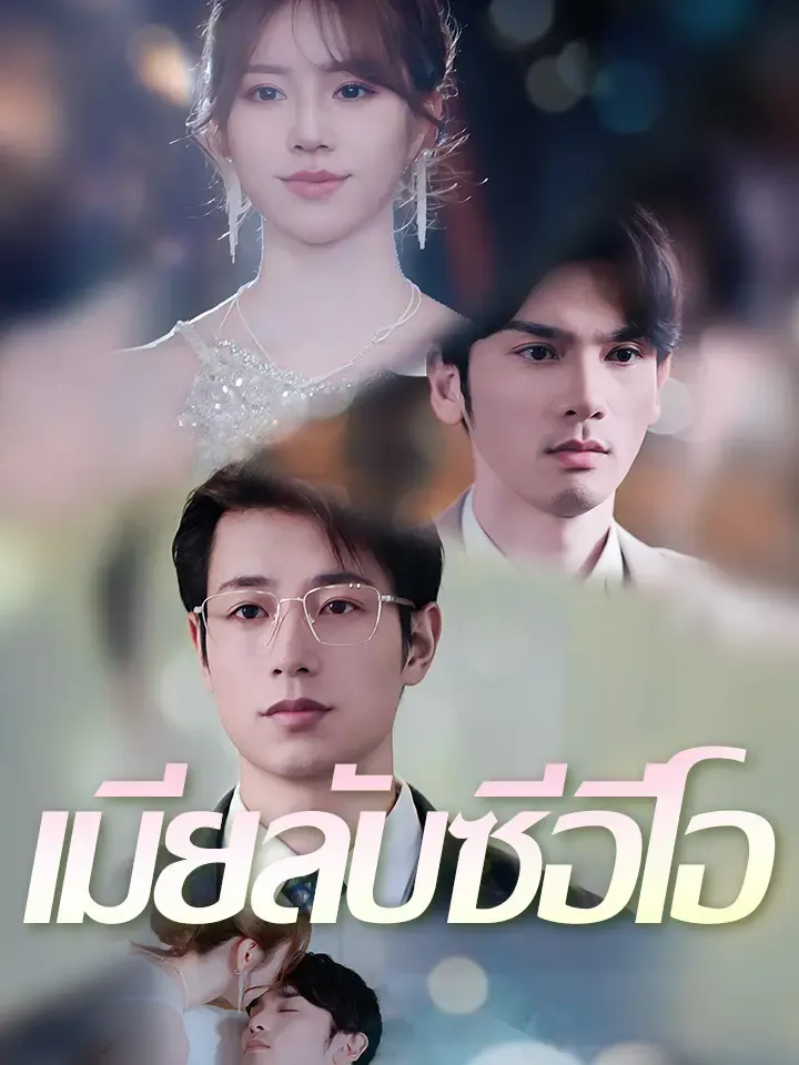 หน้าปกเมียลับซีอีโอ