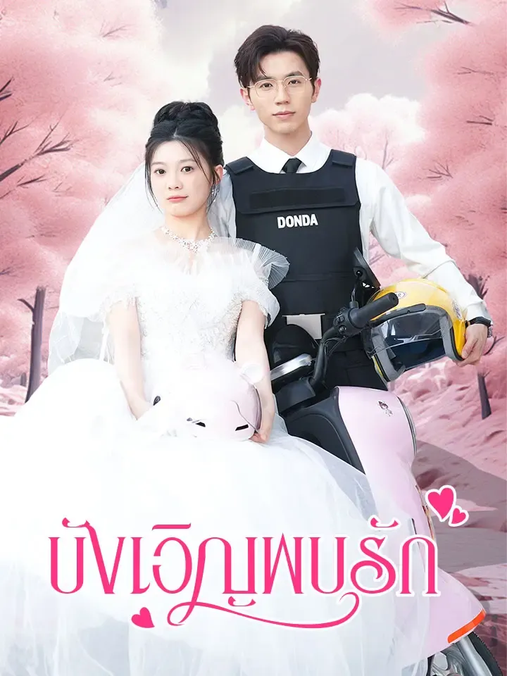 หน้าปกบังเอิญพบรัก