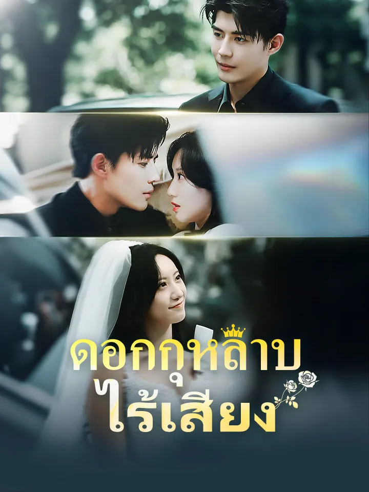 หน้าปกดอกกุหลาบไร้เสียง