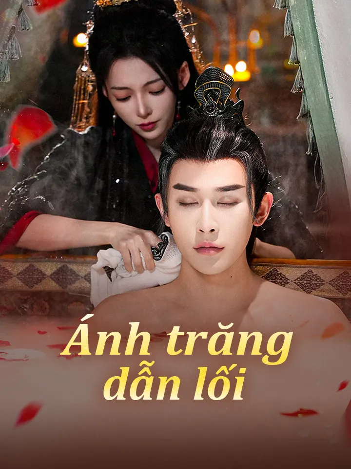 Ảnh bìa Ánh trăng dẫn lối