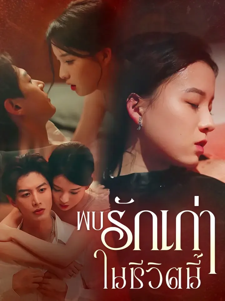 หน้าปกพบรักเก่าในชีวิตนี้