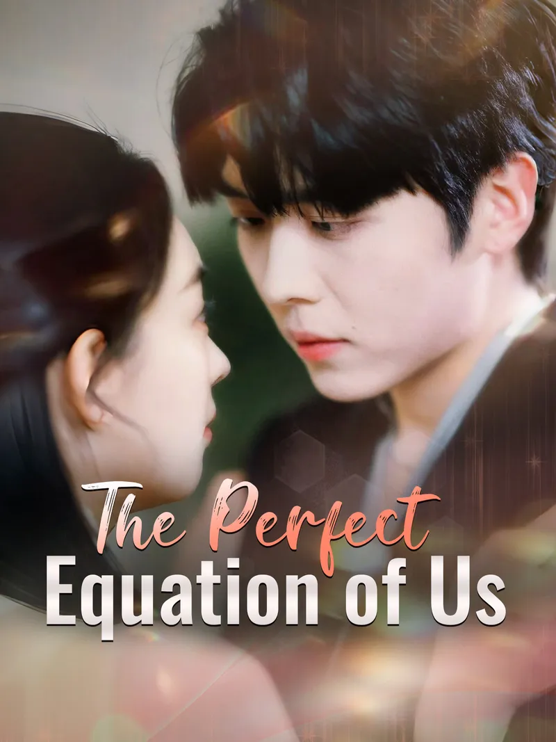 The Perfect Equation of Us cover