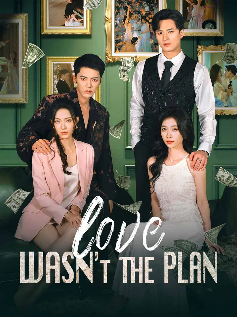 Love Wasn't the Plan cover