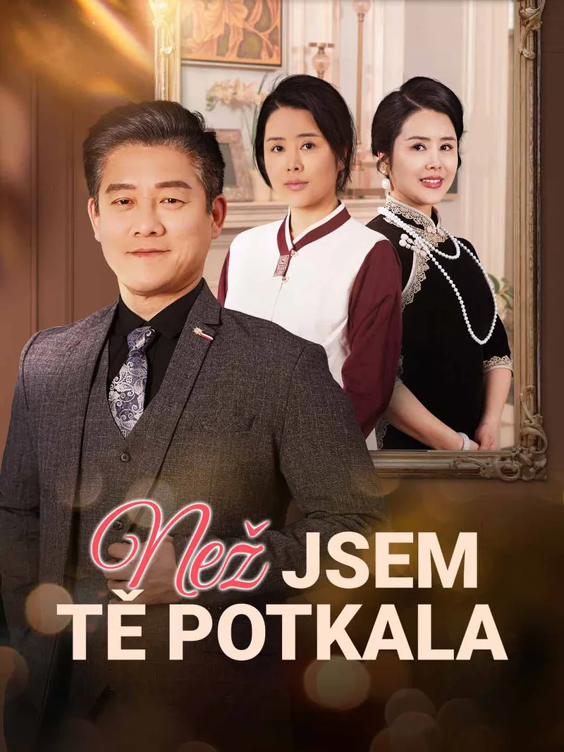 Obálka Než jsem tě potkala