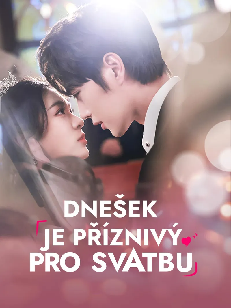 Obálka Dnešek je příznivý pro svatbu