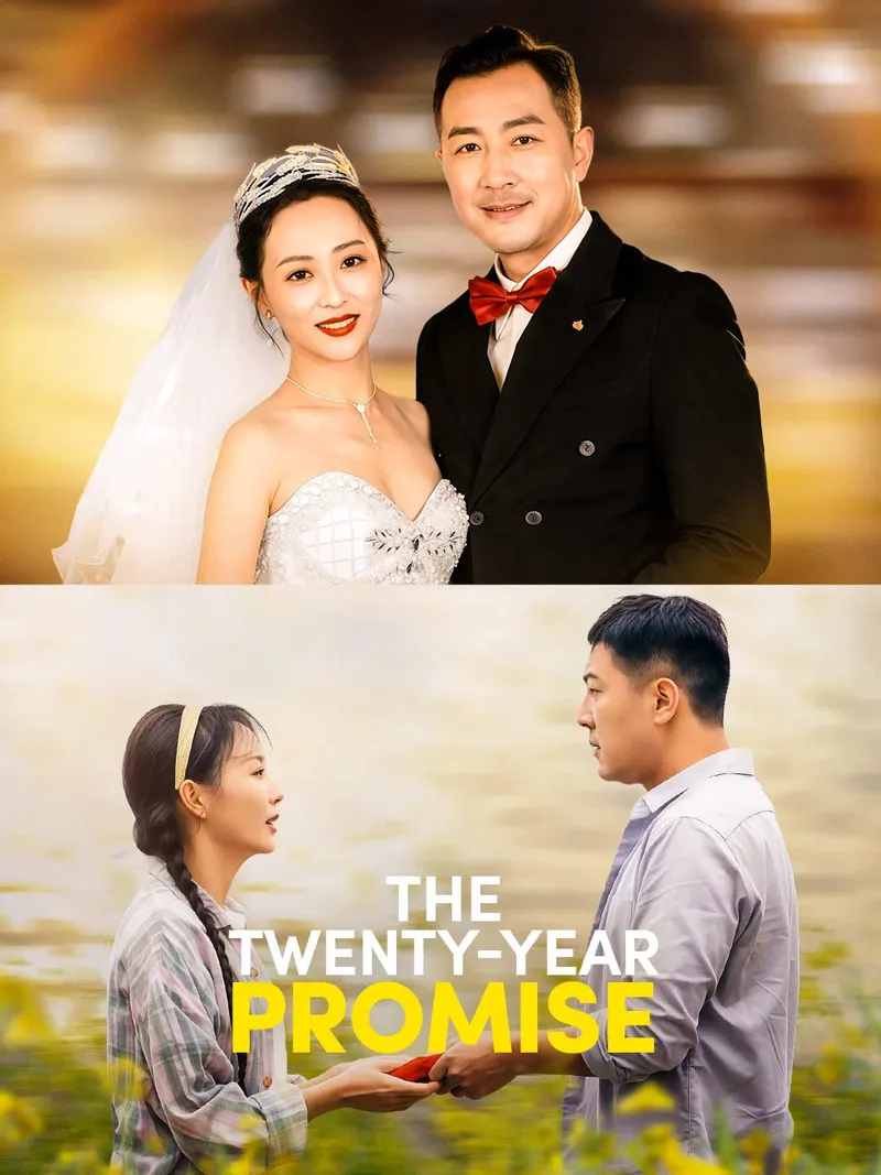 The Twenty-Year Promise cover