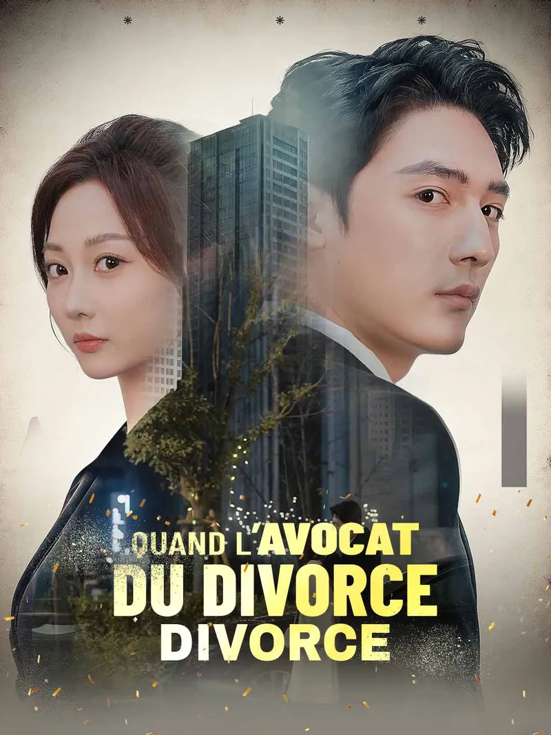 Couverture de Quand l’avocat du divorce divorce