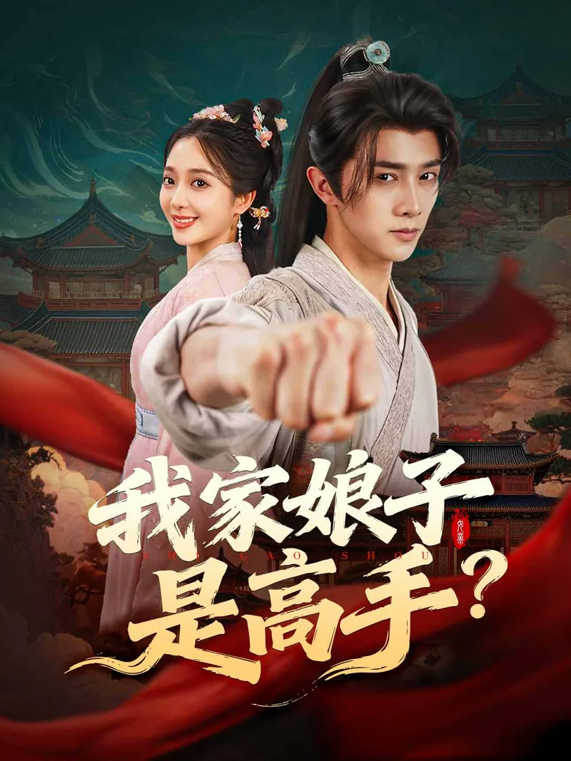 《我家娘子是高手？》封面
