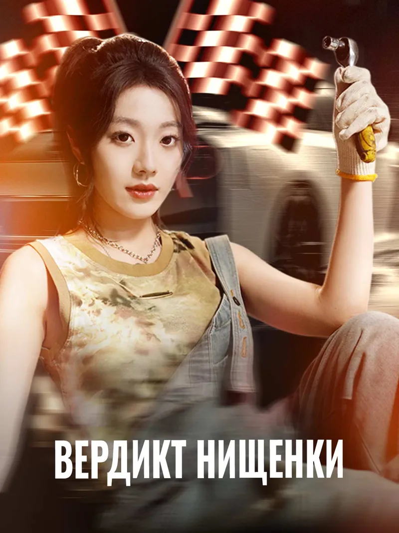 Обложка «Вердикт нищенки»