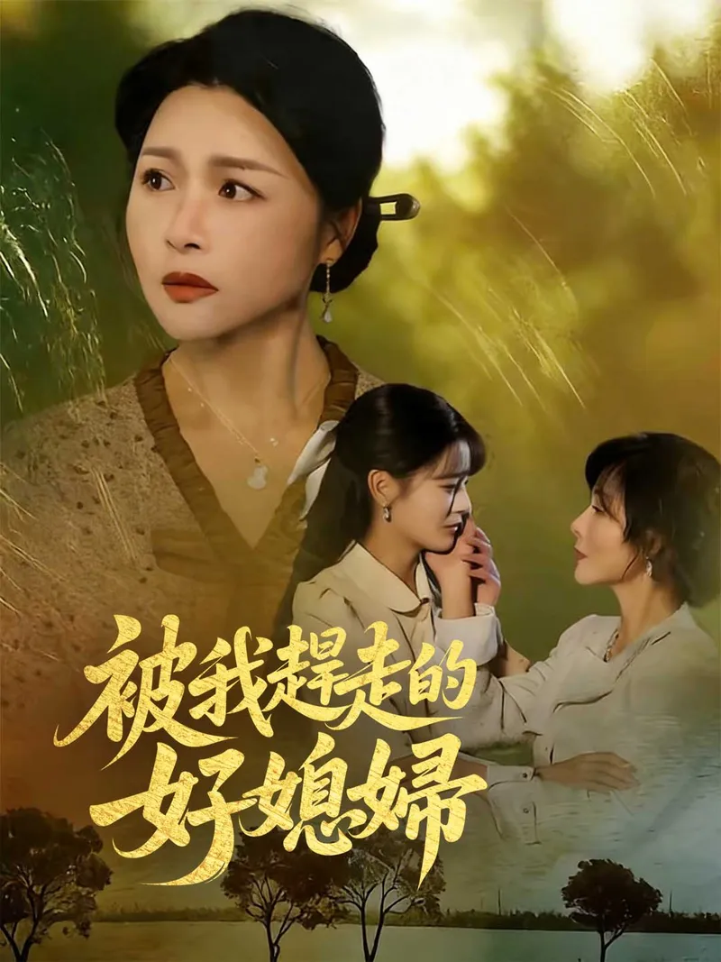 《被我趕走的好媳婦》封面