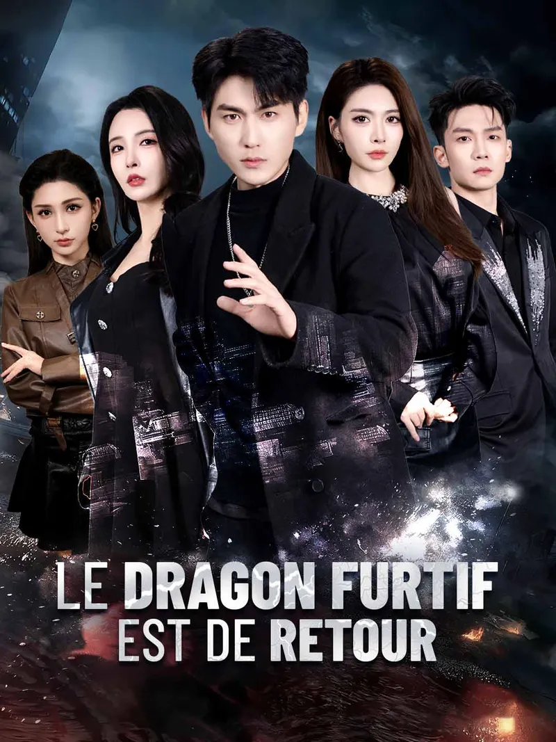 Couverture de [Doublé] Le Dragon Furtif Est De Retour