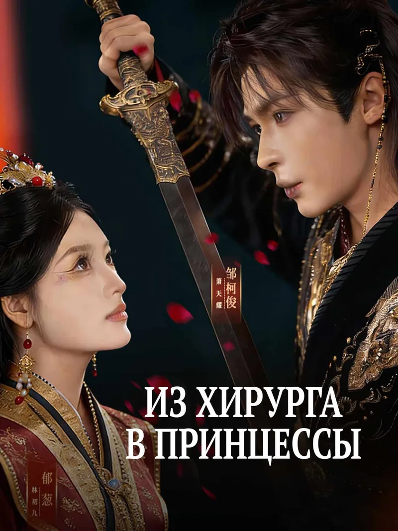 Обложка «Из хирурга в принцессы»