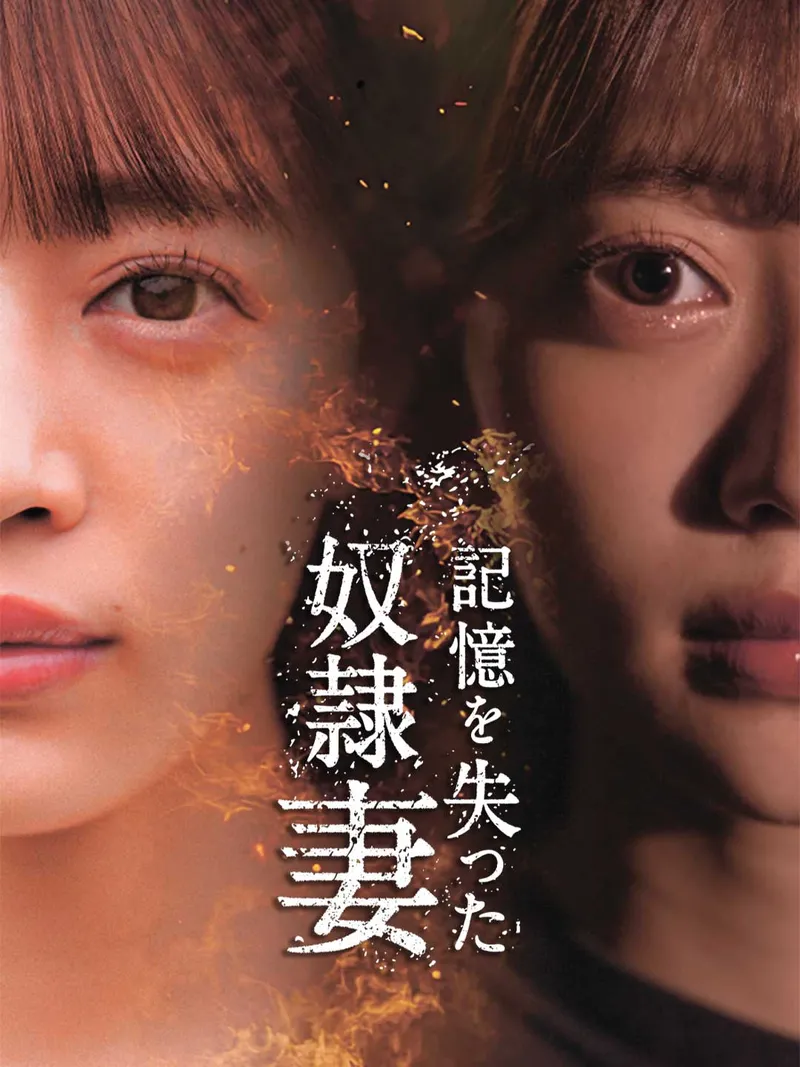 「記憶を失った奴隷妻」のカバー画像