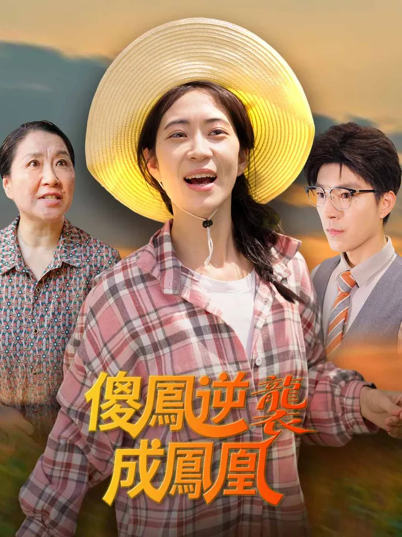 《傻鳳逆襲成鳳凰》封面