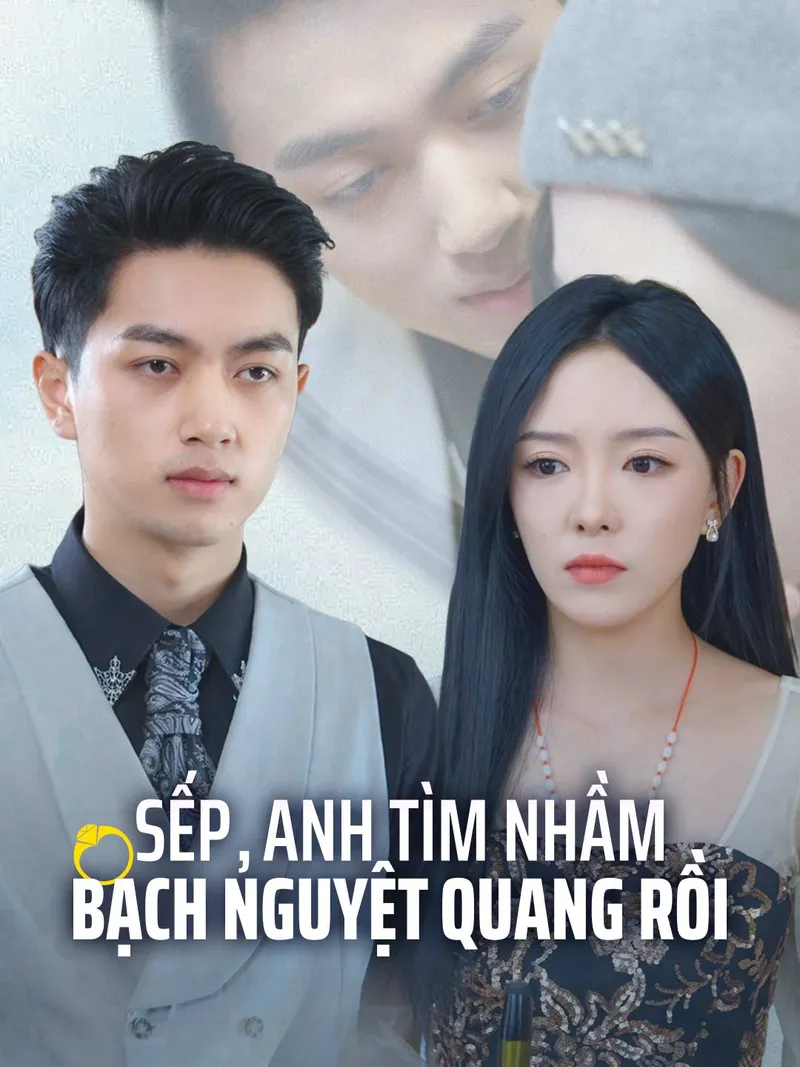 Ảnh bìa Sếp, Anh Tìm Nhầm Bạch Nguyệt Quang Rồi