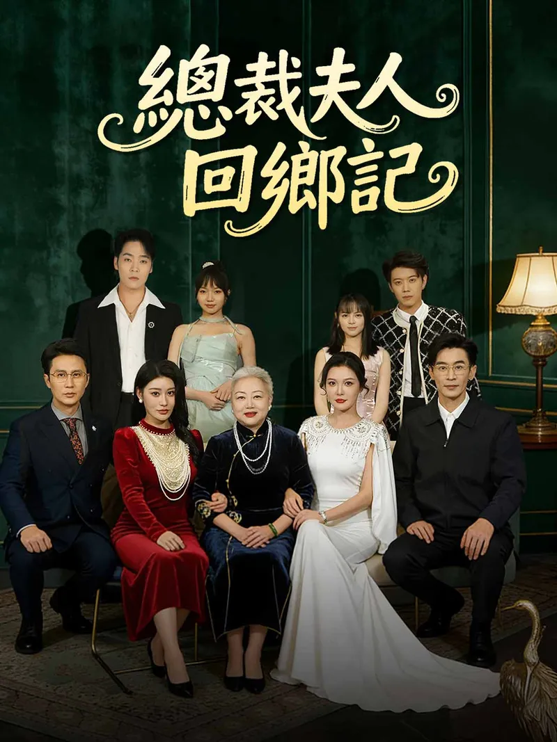 《總裁夫人回鄉記》封面