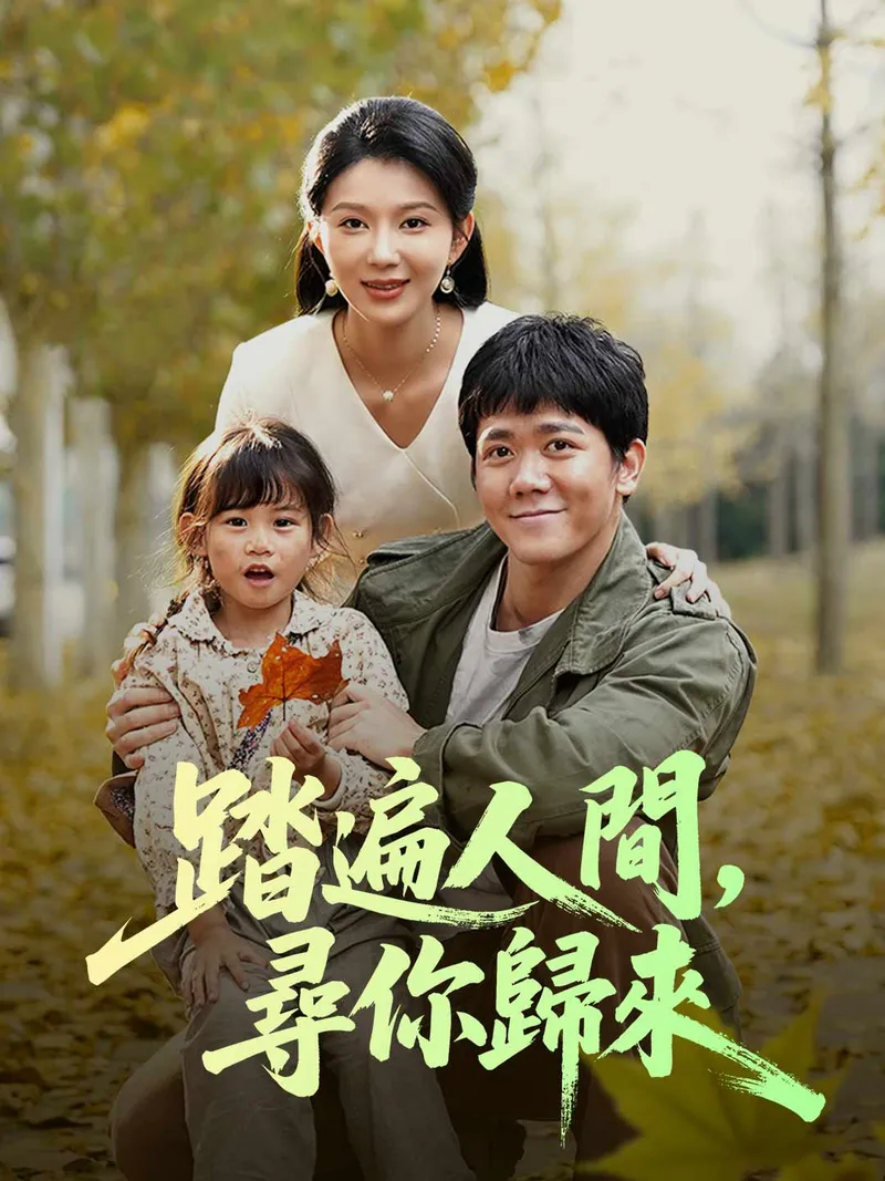 《踏遍人間，尋你歸來》封面