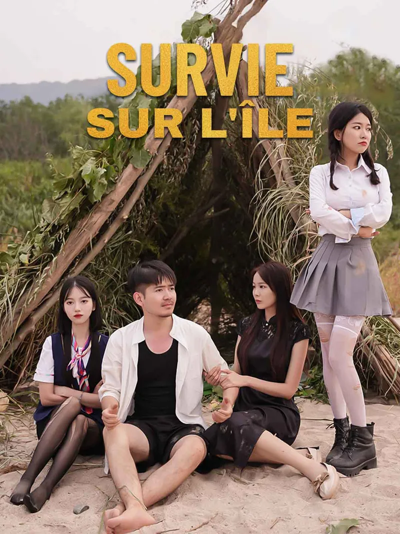 Couverture de Survie sur l'île